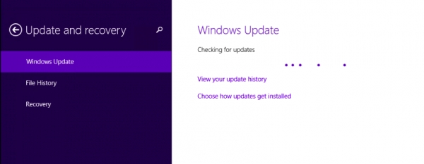How to install and use windows update offline